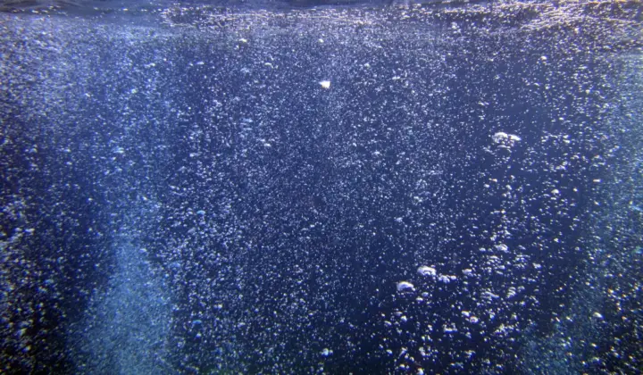 Thirty cameras in a circle give a 360-degree view of cavitation bubbles