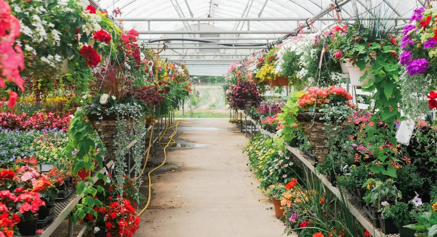 Türkiye's forest nurseries grew more than 19 million plants to green its cities