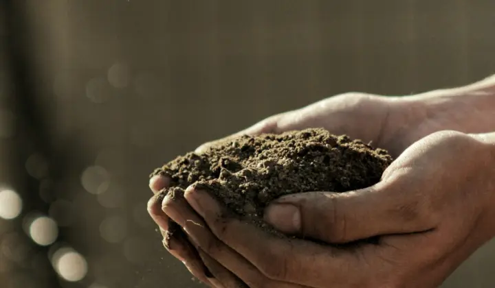 Solo fértil nas mãos de um agricultor